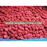 IQF frozen raspberry