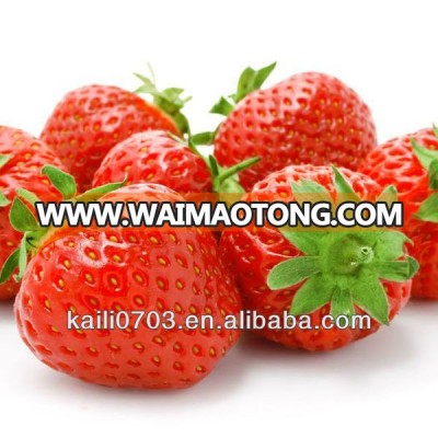 iqf large strawberry best share strawberry fruit