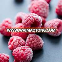 High Quality Frozen Style Fresh Raspberry