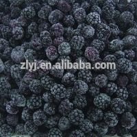 2014 Top sale iqf frozen Blackberries Grade A