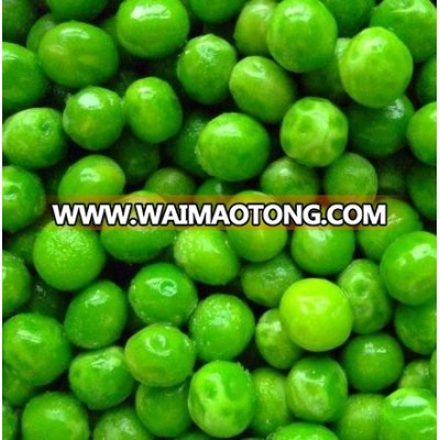 Low Price Frozen Green Peas in China