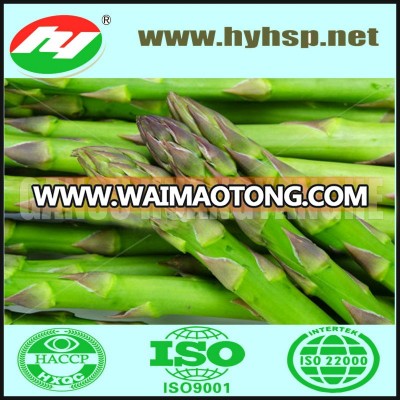 IQF Green Asparagus