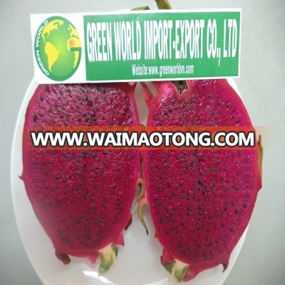 NATURAL FROZEN DRAGON FRUIT - TOP ATTRACTIVE MARKET